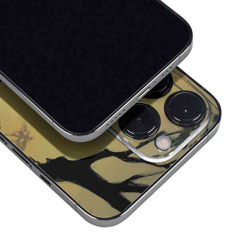 Marvel Black Panther TChalla King of Wakanda iPhone 16 Pro Skin